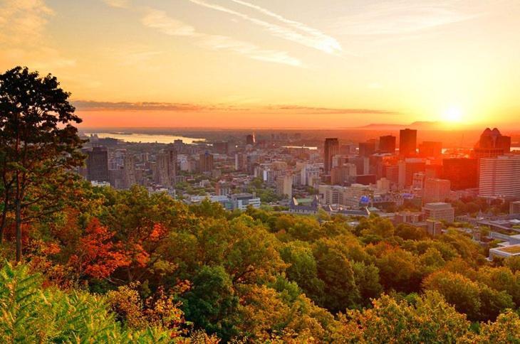 Heart Of Mtr For Memerable Experiance 2 Backyard 7Minmetro Fully Renovated & Equipped Montreal Zewnętrze zdjęcie
